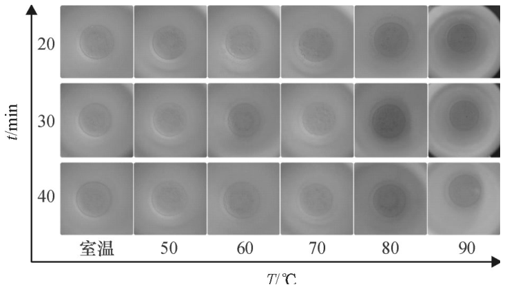 不同密閉消解時間、不同水浴溫度的消解效果