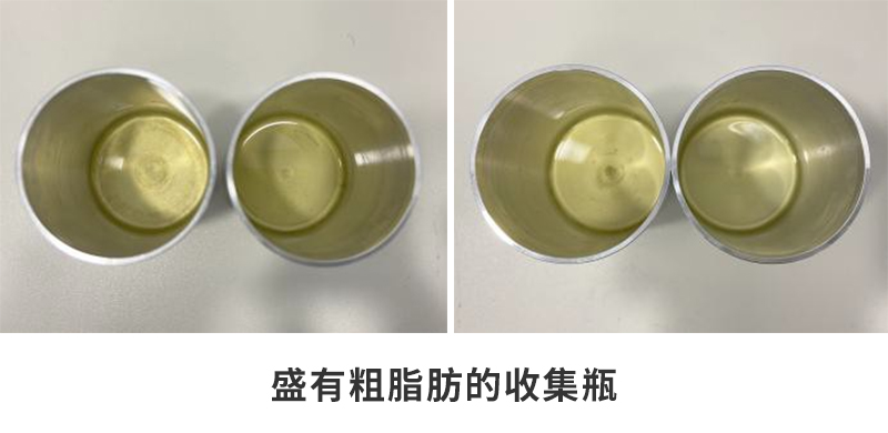 盛有粗脂肪的收集瓶